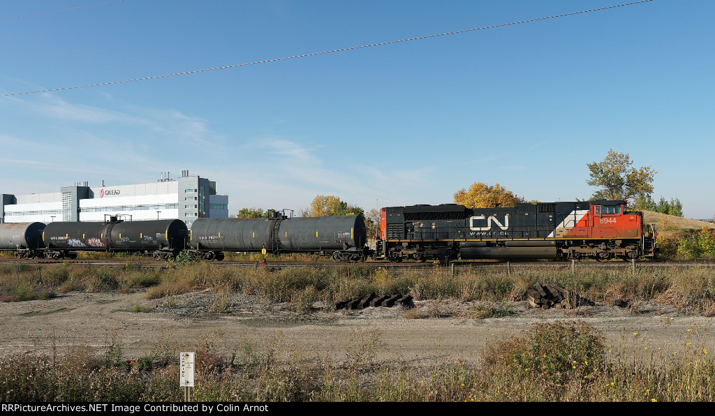 CN 8944